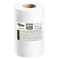 KP309