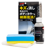 Color Evolution Silver 100мл